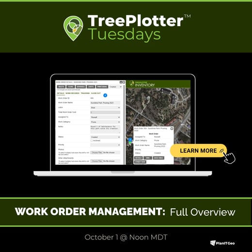 2024.10.1 TP Tuesdays SQ