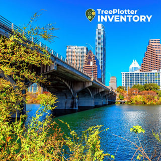 Austin