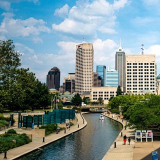 Branching Out or Taking Root Your Urban Forestry Program’s Health Check